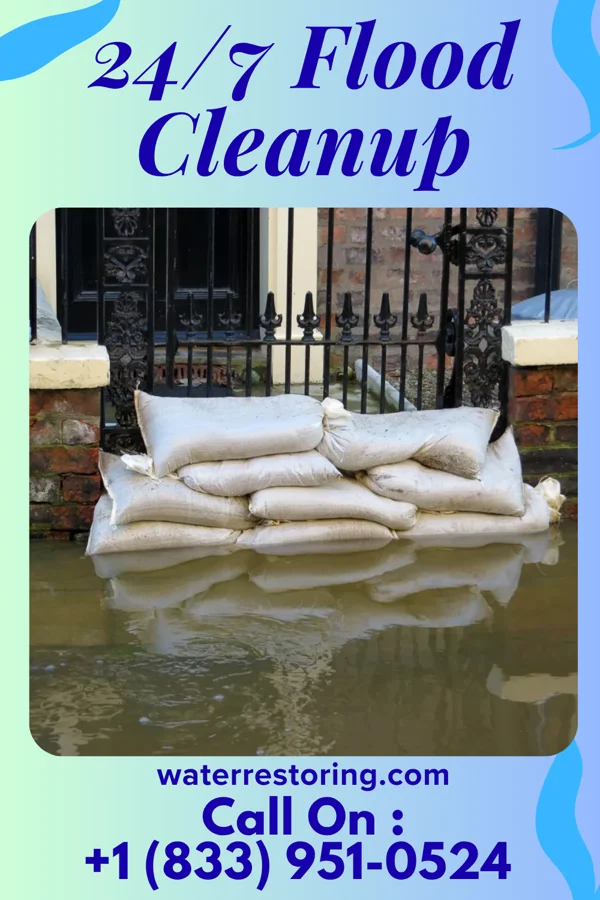 24/7 Flood Cleanup in Delevan, NY