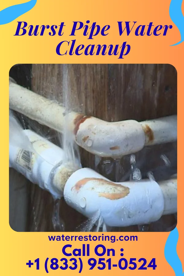 Burst Pipe Water Cleanup in Delevan, NY