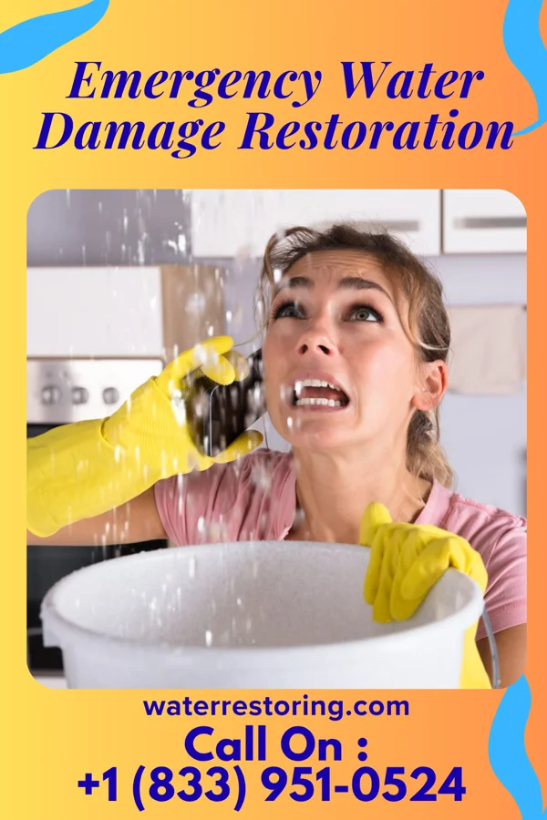 Emergency Water Damage Restoration in Delevan, NY