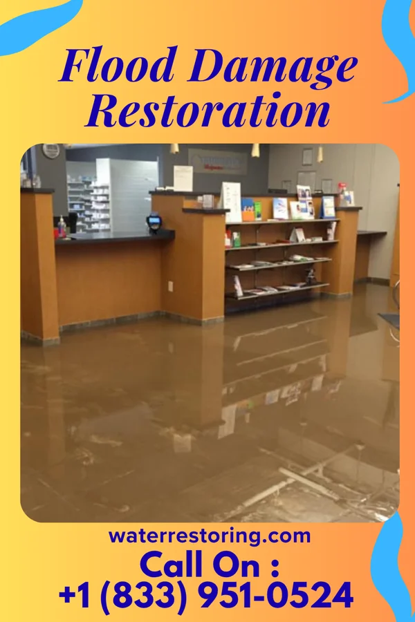 Flood Damage Restoration in Delevan, NY