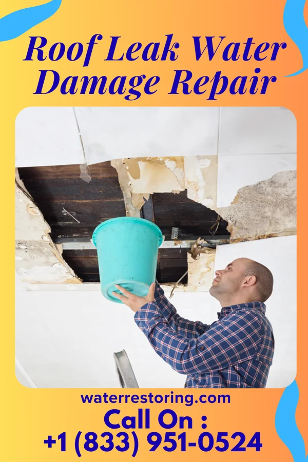 Roof Leak Water Damage Repair in Delevan, NY